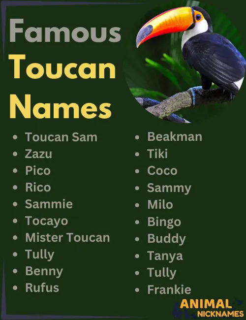 Famous Toucan Names