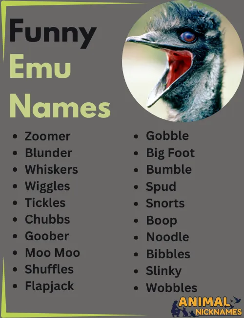 Funny Emu Names