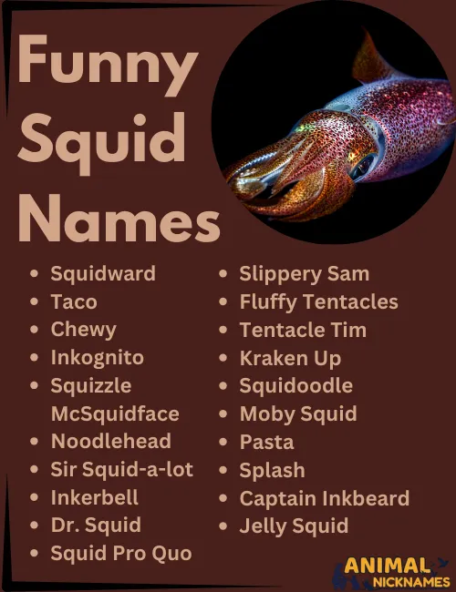 Funny Squid Names