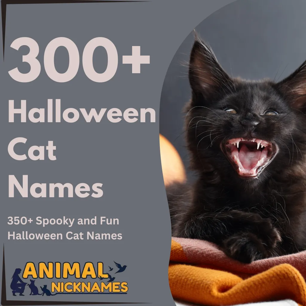 Halloween Cat Names