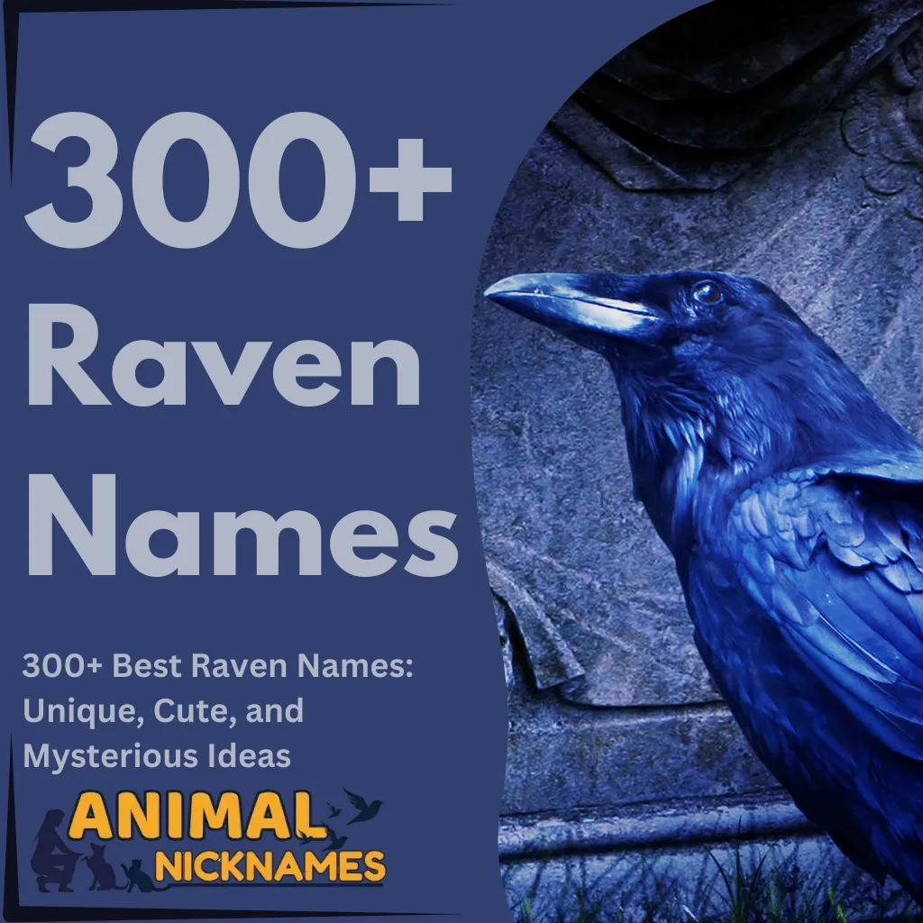 Raven Names