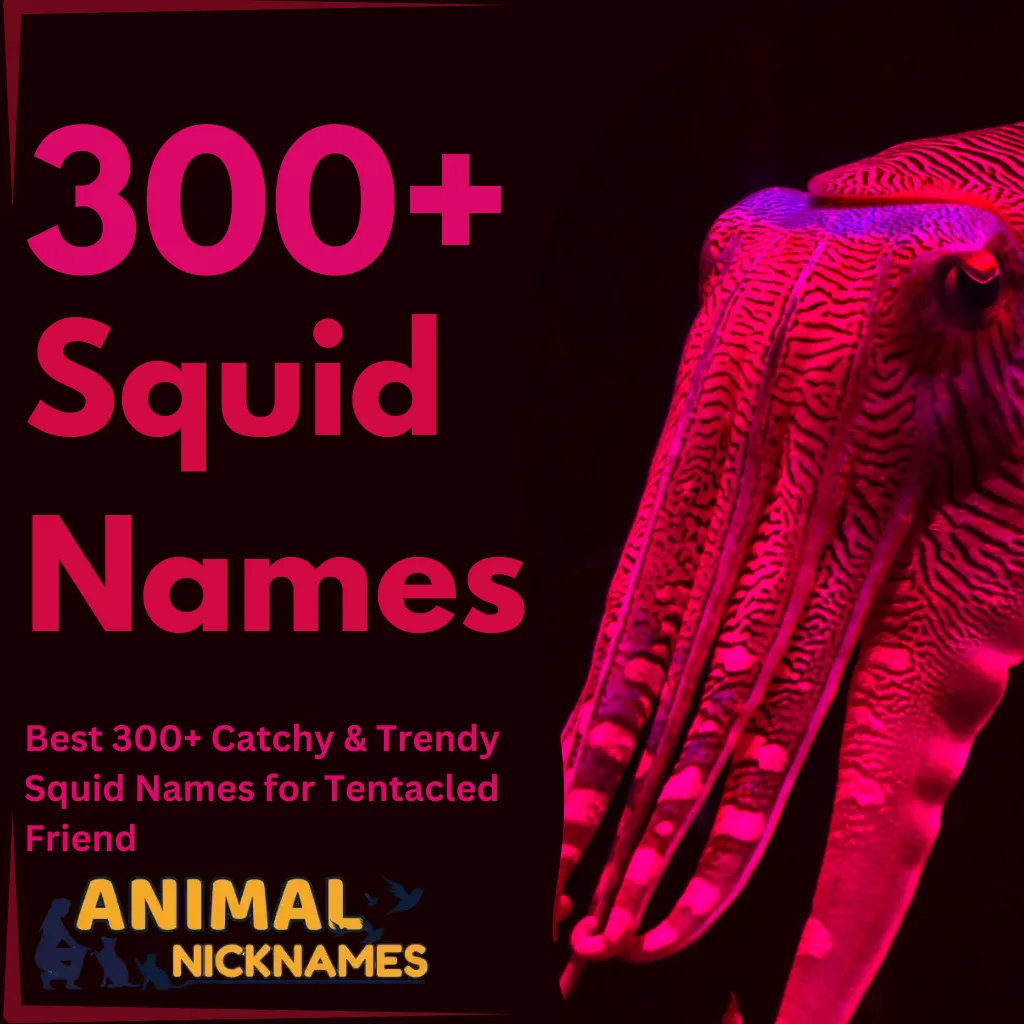 Squid Names