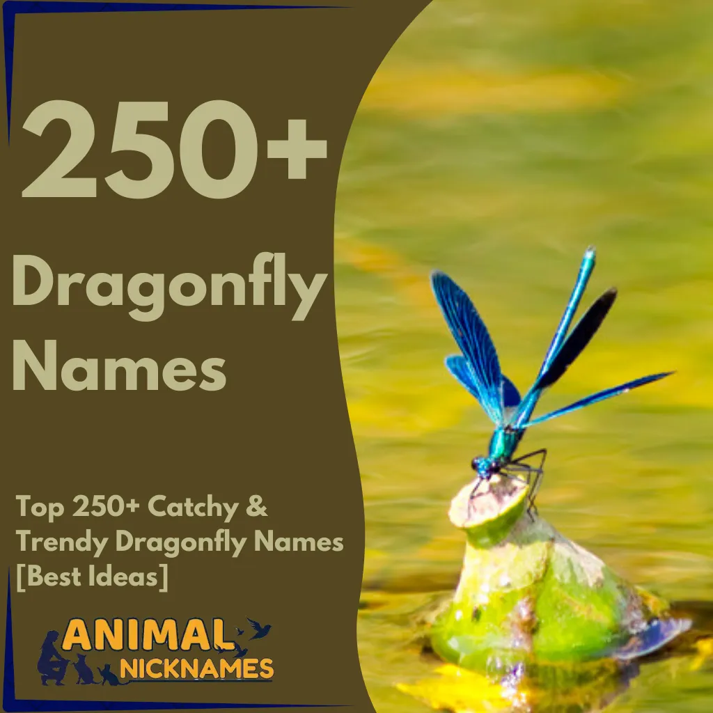 Top 250+ Catchy & Trendy Dragonfly Names [Best Ideas]