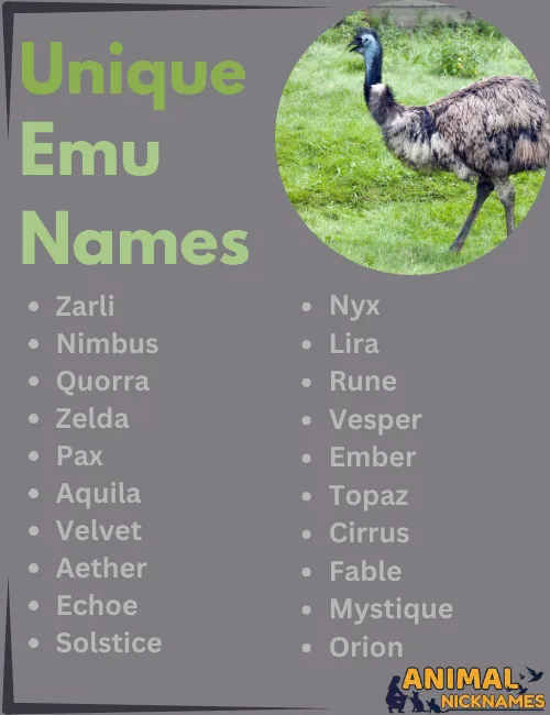 Unique Emu Names