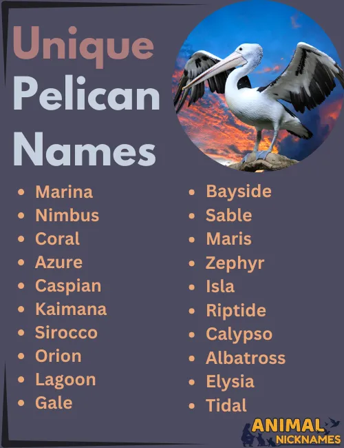 Unique Pelican Names