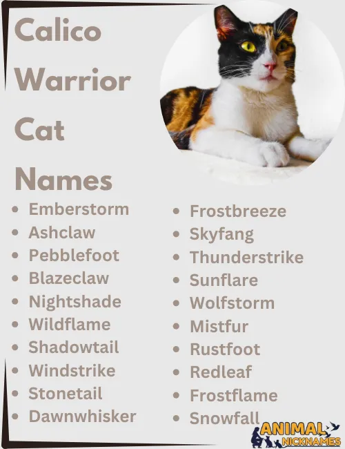 Calico Warrior Cat Names