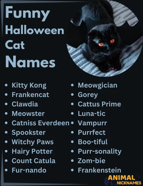 Funny Halloween Cat Names