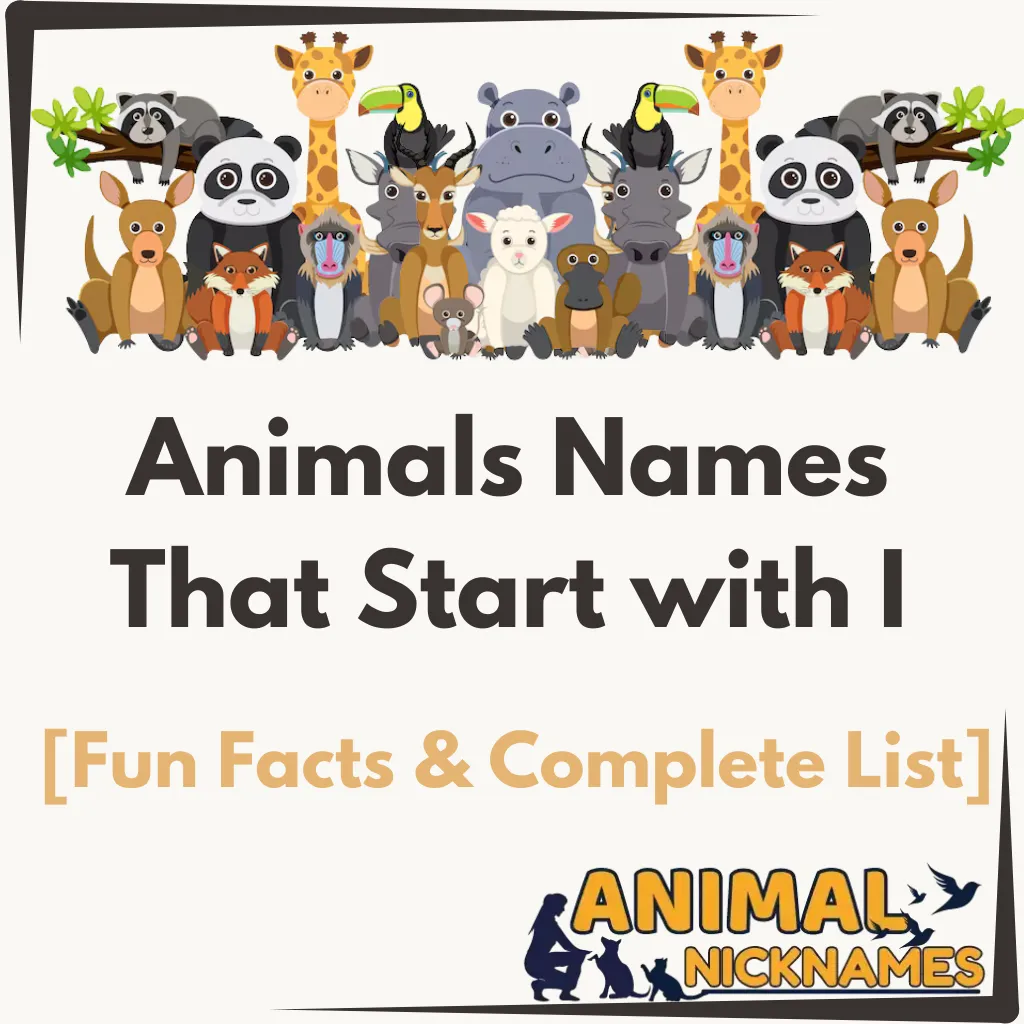 List of animals that start with I