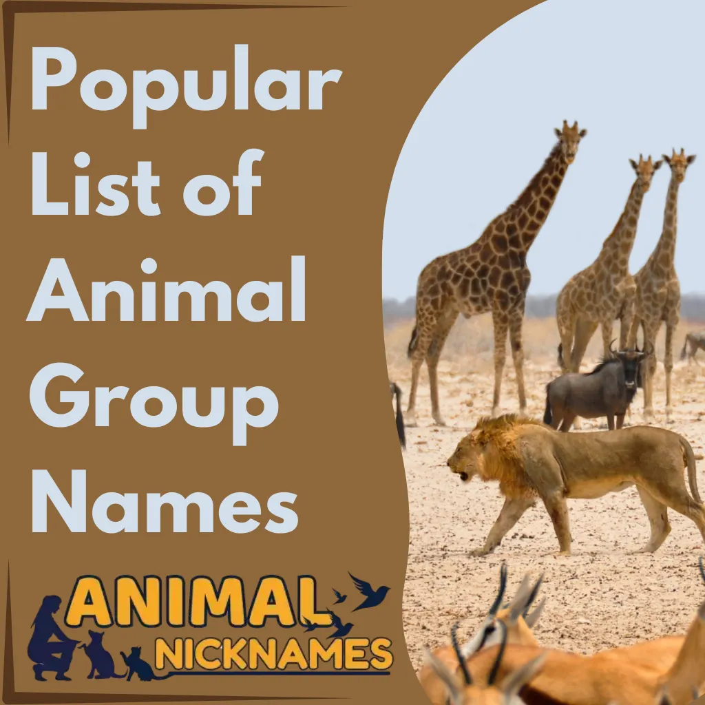 Popular list of Animal Group Names