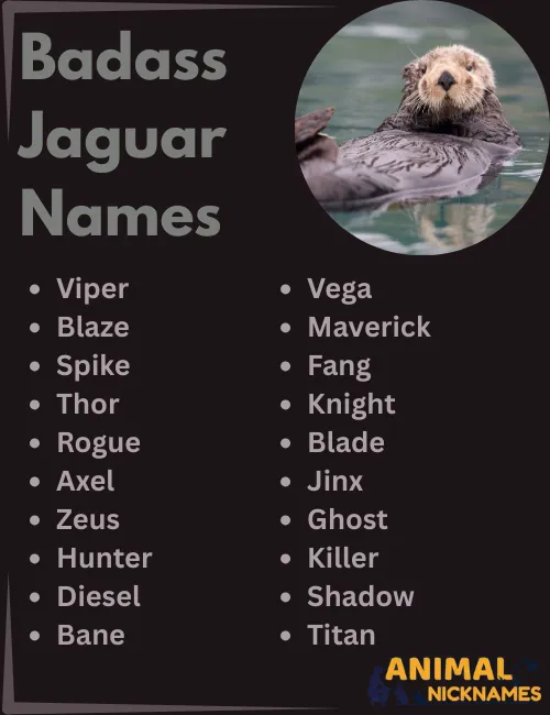 Badass Jaguar Names