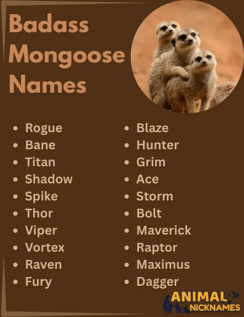 Badass Mongoose Names