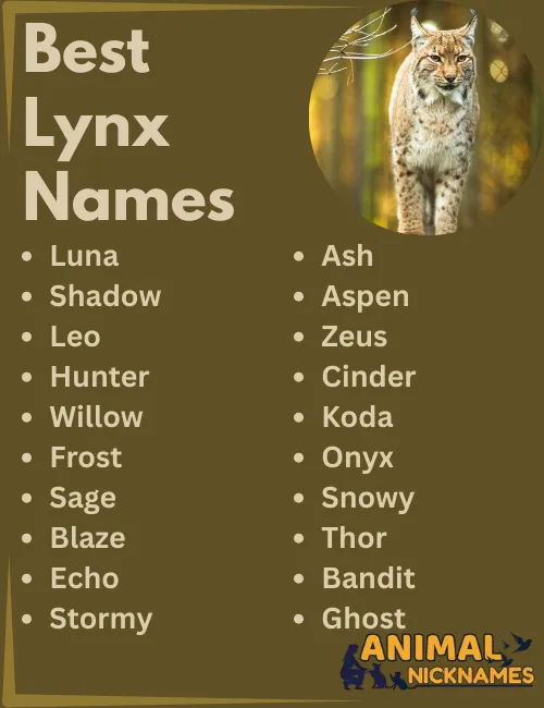 Best Lynx Names