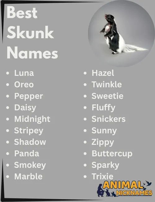Best Skunk Names
