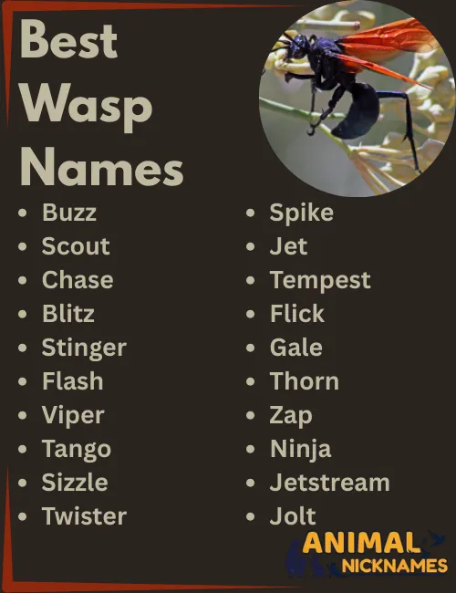 Best Wasp Names