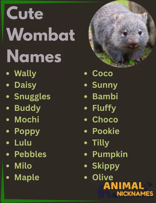 Cute Wombat Names