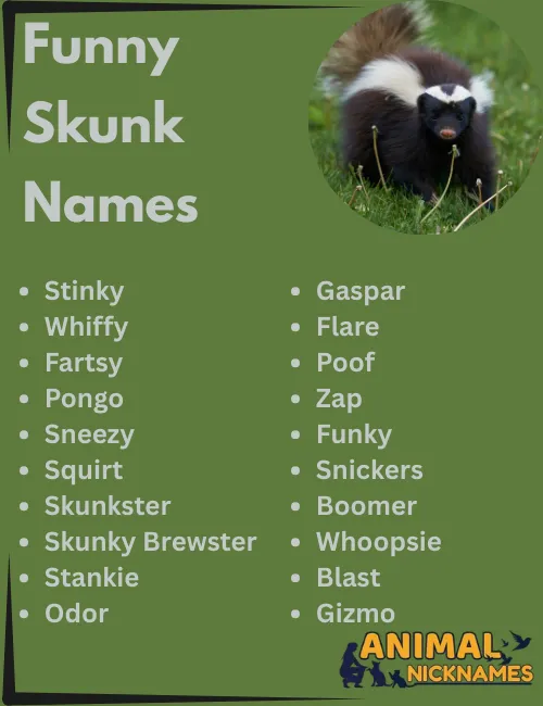 Funny Skunk Names