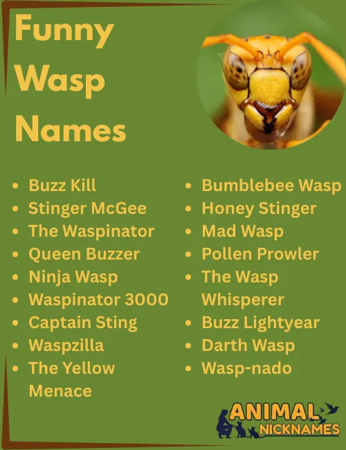 Funny Wasp Names