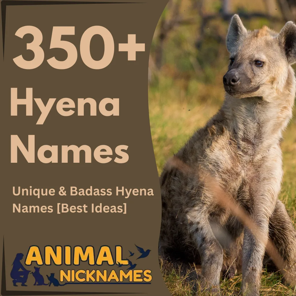 Hyena Names