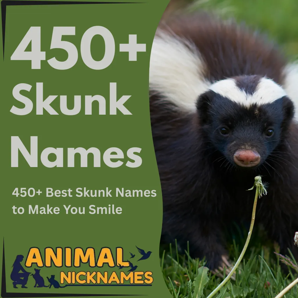 Skunk Names