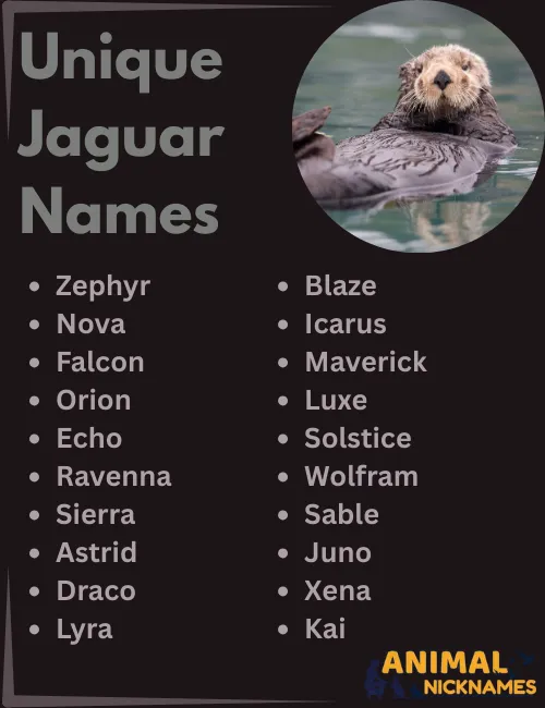 Unique Jaguar Names