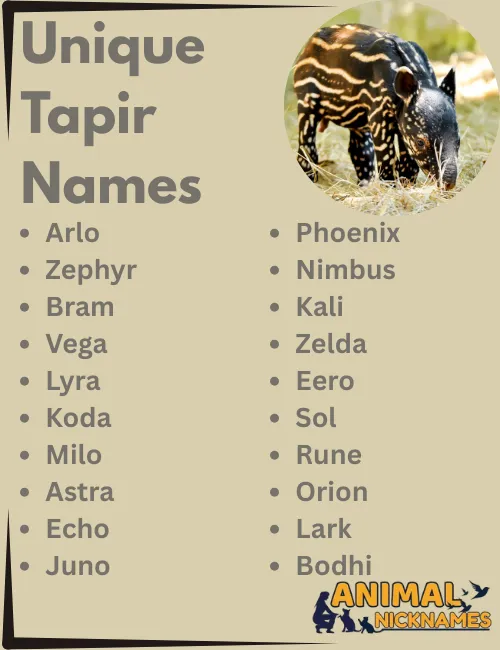 Unique Tapir Names