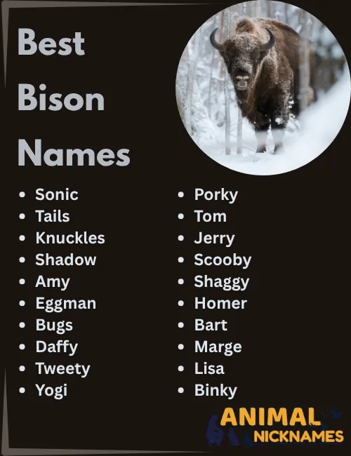 Best Bison Names