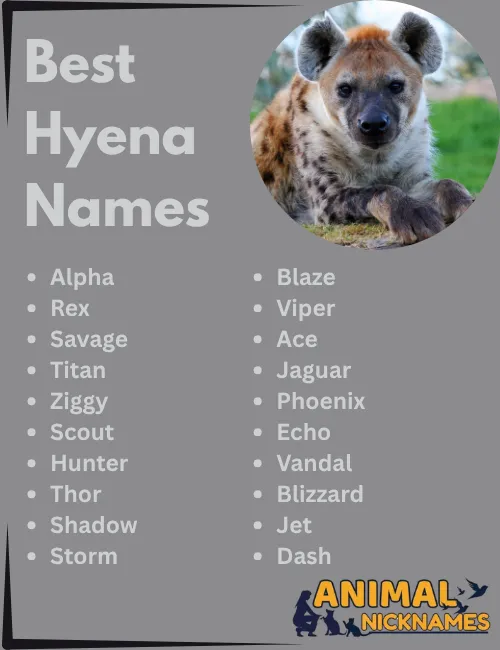 Best Hyena Names