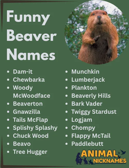 Funny Beaver Names