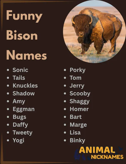 Funny Bison Names