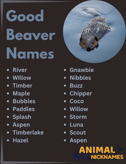 Good Beaver Names